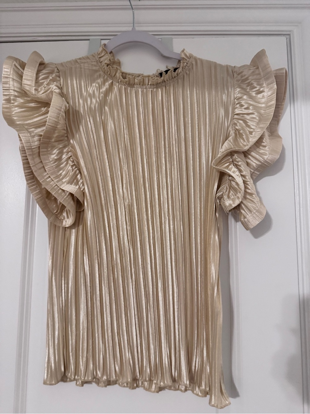 Pleated Metallic Ruffle Sleeve Top in Champagne